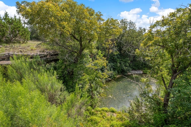 159 Nodena Dr, Dripping Springs, TX 78620 - photo 29