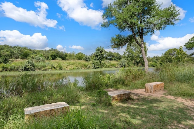 159 Nodena Dr, Dripping Springs, TX 78620 - photo 31