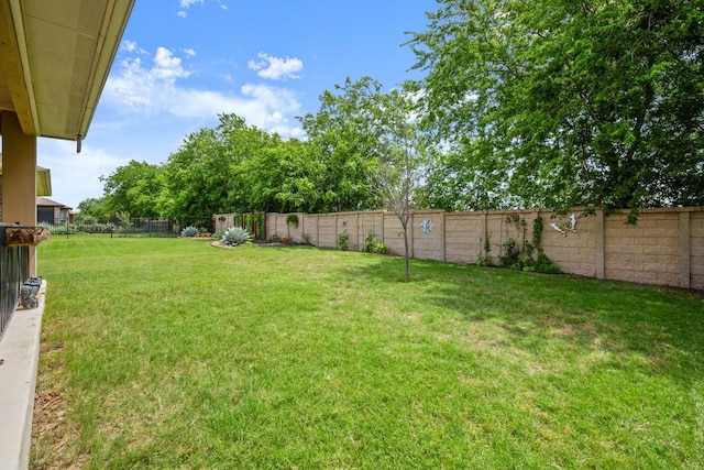 5079 Lunata Way, Round Rock, TX 78665 - photo 24
