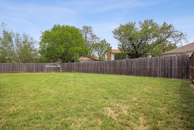 1413 Coffee Tree Dr, New Braunfels, TX 78130 - view of yard
