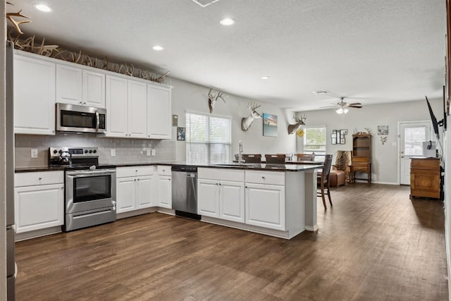 1413 Coffee Tree Dr, New Braunfels, TX 78130 - kitchen featuring stainless steel appliances, a peninsula, a sink, dark wood finished floors, and recessed lighting