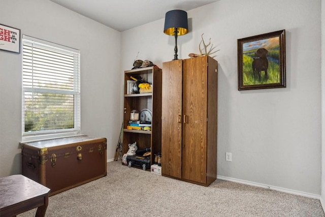 1413 Coffee Tree Dr, New Braunfels, TX 78130 - bedroom featuring carpet floors, multiple windows, and baseboards