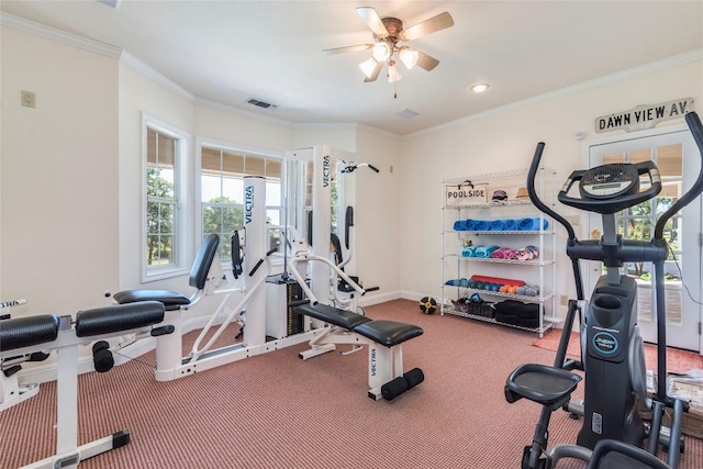 17270 Fm 112, Thrall, TX 76578 - exercise area with carpet flooring, ceiling fan, and crown molding