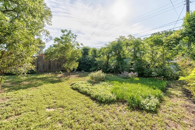 4613 Greenridge Ter, Austin, TX 78745 - view of yard