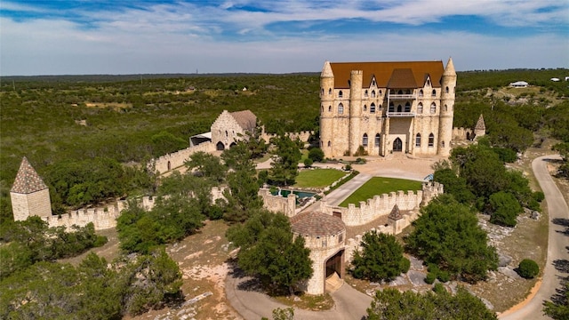 7400 Park Road 4 S, Burnet, TX 78611 - photo 1