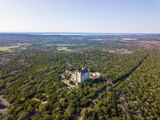 7400 Park Road 4 S, Burnet, TX 78611 - photo 5