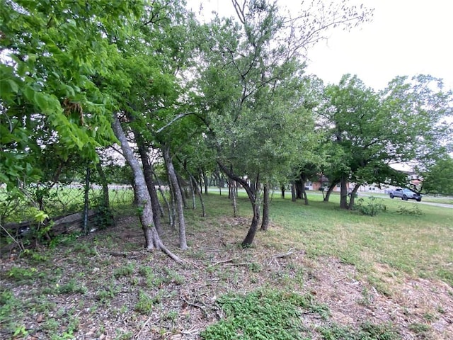 758 Live Oak St, Kyle, TX 78640 - photo 5