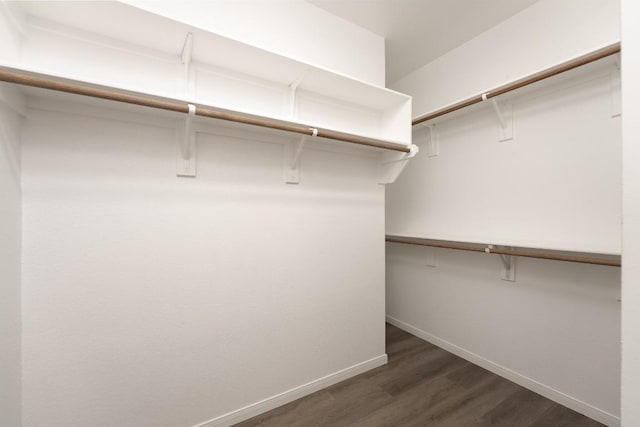 7317 Buffalo Grass Dr, Temple, TX 76502 - walk in closet featuring dark wood finished floors