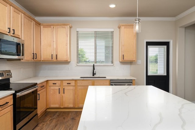 7317 Buffalo Grass Dr, Temple, TX 76502 - kitchen with appliances with stainless steel finishes, a sink, ornamental molding, decorative backsplash, and wood finished floors