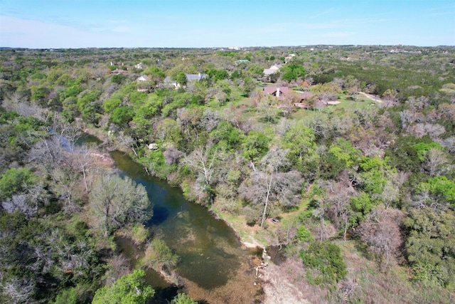 12316 Triple Creek Dr, Dripping Springs, TX 78620 - view of property location