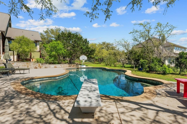 12316 Triple Creek Dr, Dripping Springs, TX 78620 - swimming pool with a patio and a diving board