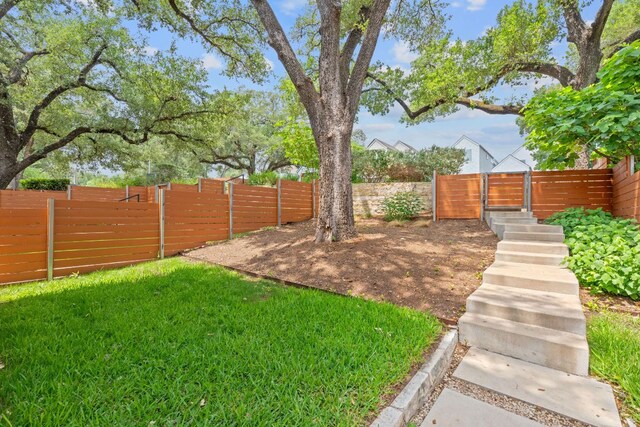 3105 Aldwyche Dr, Austin, TX 78704 - view of yard