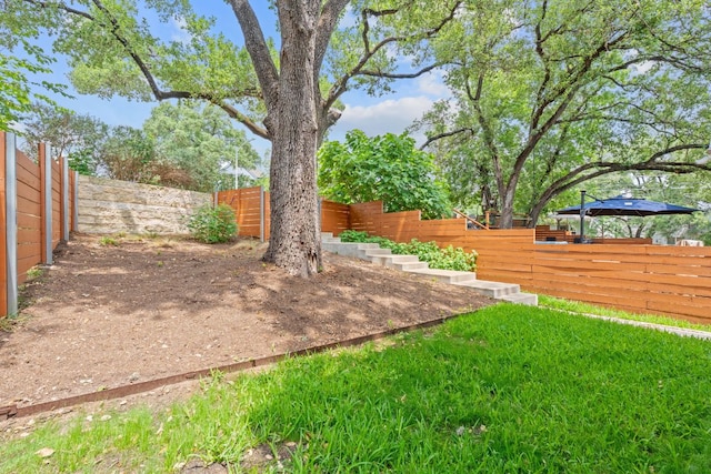 3105 Aldwyche Dr, Austin, TX 78704 - view of fenced backyard