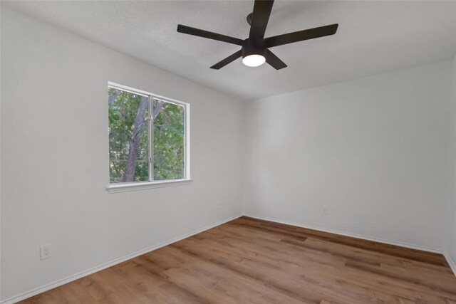 8800 Dandelion Trl, Austin, TX 78745 - photo 18