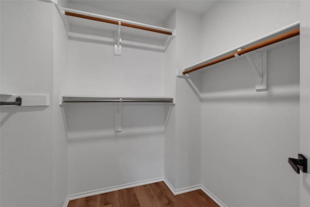spacious closet with dark wood-style flooring