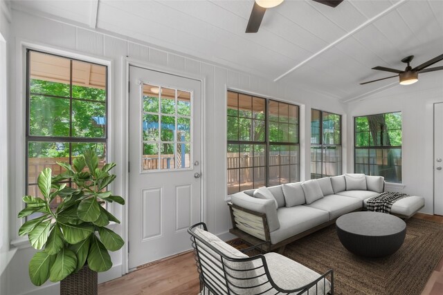 8800 Dandelion Trl, Austin, TX 78745 - photo 10