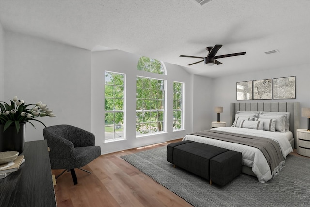 8800 Dandelion Trl, Austin, TX 78745 - photo 13