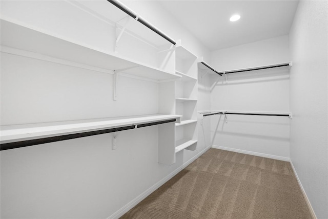 5213 Fresno Ave, Pflugerville, TX 78660 - spacious closet featuring carpet flooring