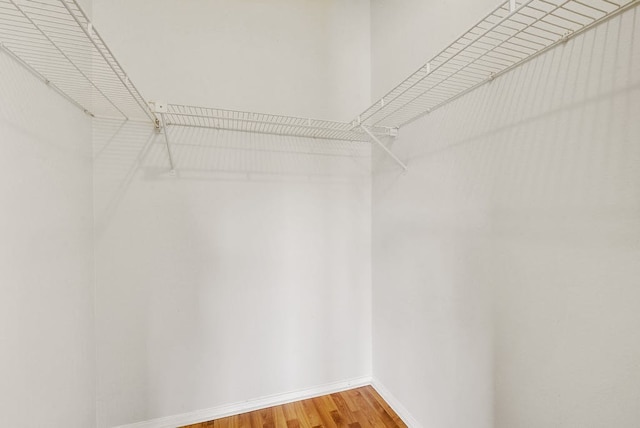 12166 Metric Blvd Unit 384, Austin, TX 78758 - photo 15