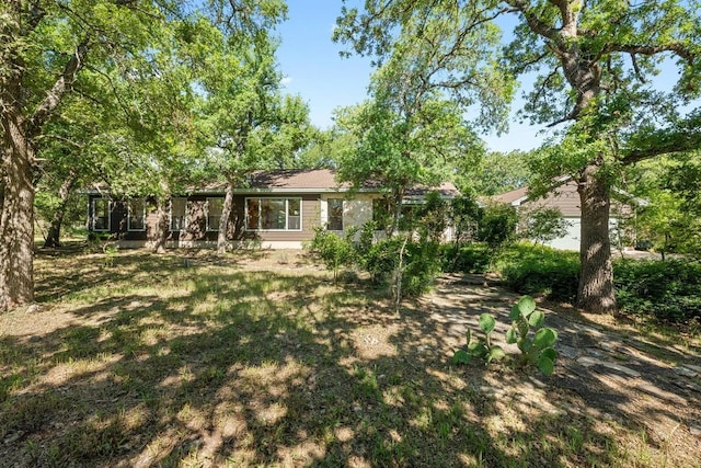 16704 Post Oak Gln, Austin, TX 78737 - view of yard