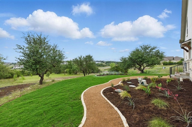 view of grassy yard