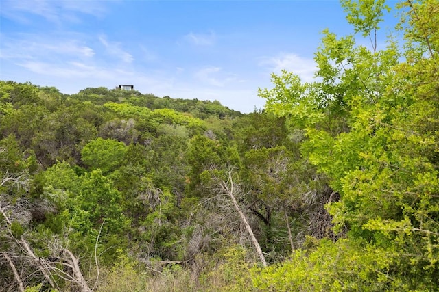 903 Alexia Ln, Austin, TX 78746 - view of tree filled area