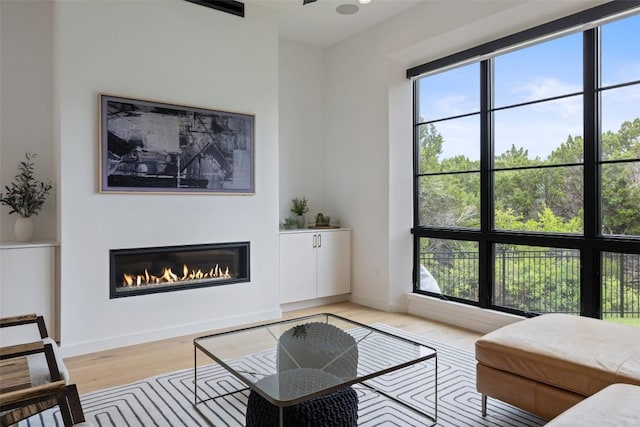 903 Alexia Ln, Austin, TX 78746 - living room featuring light wood-style flooring, a glass covered fireplace, and baseboards