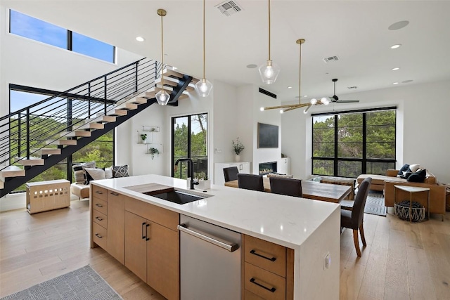 903 Alexia Ln, Austin, TX 78746 - kitchen featuring open floor plan, a sink, stainless steel dishwasher, a glass covered fireplace, and light wood-style floors