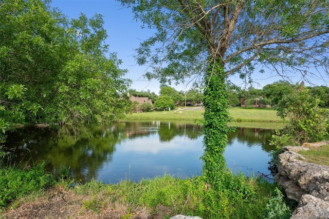 17112 Crescent Heights Trl, Austin, TX 78717 - water view