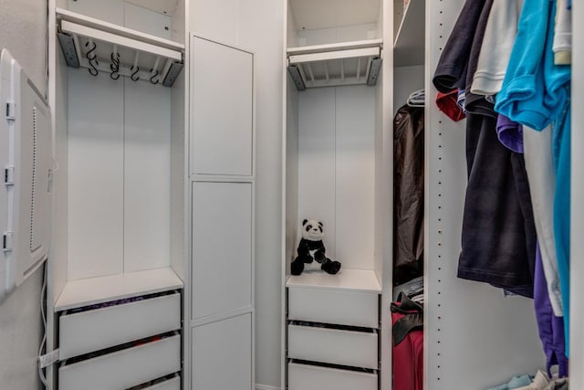 1314 Overture Pl, Round Rock, TX 78681 - view of walk in closet