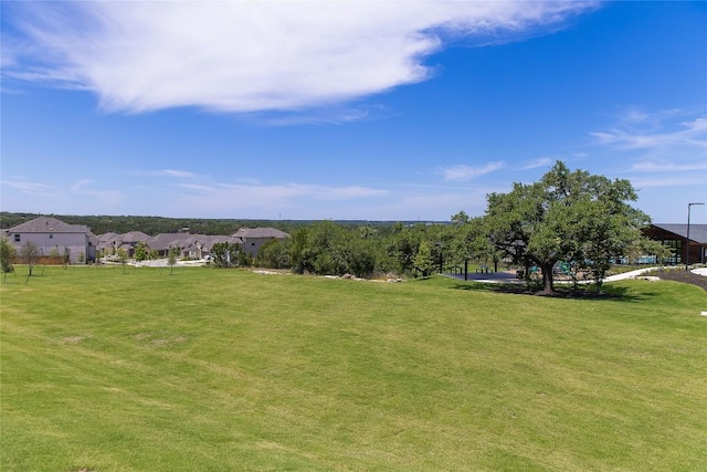 1704 Plum Tree Way, Georgetown, TX 78628 - view of grassy yard