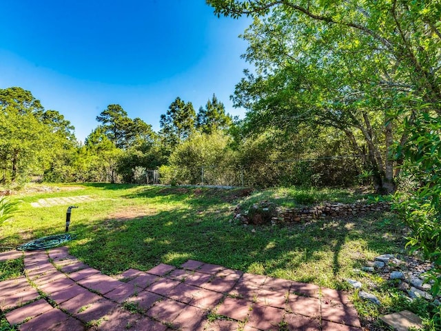 119 E Wiamea Ct, Bastrop, TX 78602 - view of yard