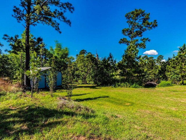 119 E Wiamea Ct, Bastrop, TX 78602 - view of grassy yard with a shed