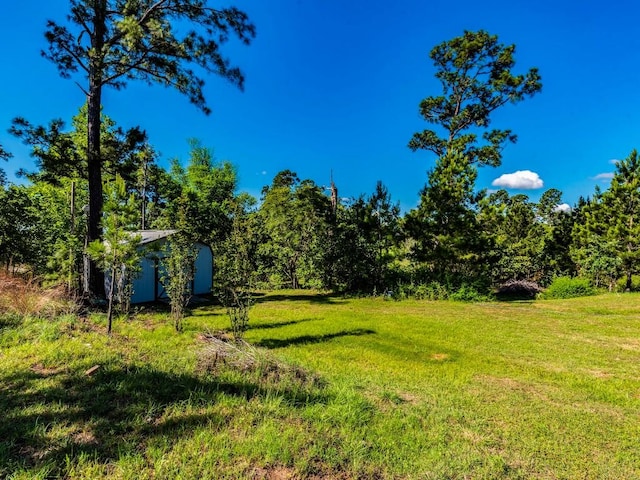 119 E Wiamea Ct, Bastrop, TX 78602 - photo 27