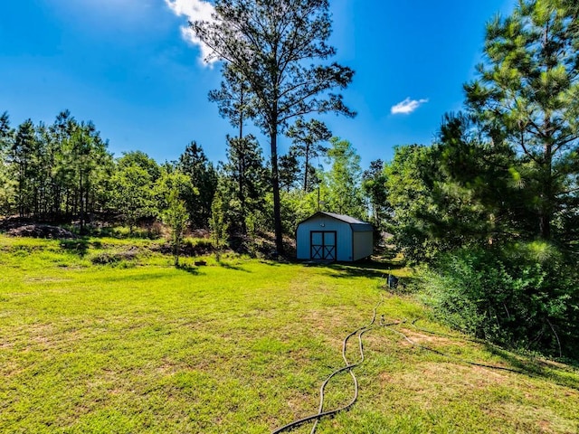 119 E Wiamea Ct, Bastrop, TX 78602 - view of green lawn featuring a storage shed