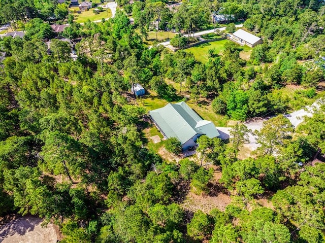 119 E Wiamea Ct, Bastrop, TX 78602 - bird's eye view