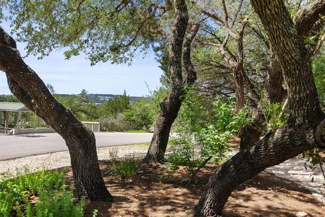 exterior space