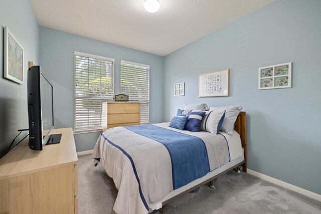 113 Warbler Way, Georgetown, TX 78633 - bedroom featuring carpet flooring and baseboards