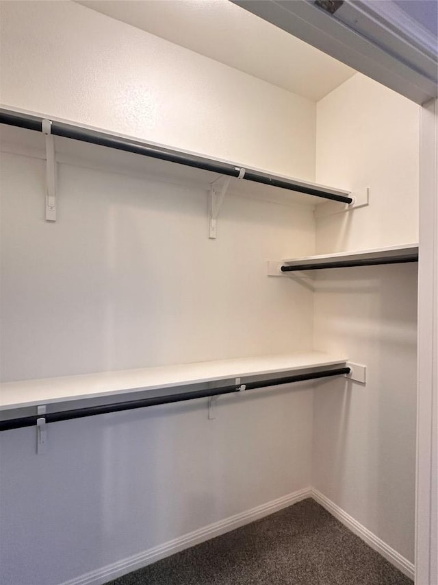 137 Rustic Glen Dr, San Marcos, TX 78666 - spacious closet with dark colored carpet