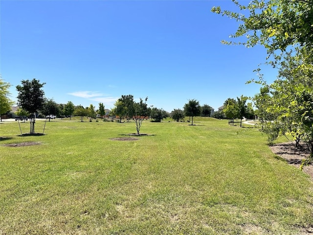 137 Rustic Glen Dr, San Marcos, TX 78666 - view of grassy yard