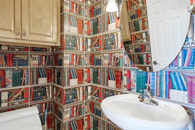 bathroom with a sink