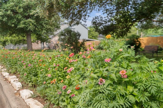 8304 Avocet Dr, Austin, TX 78745 - view of yard