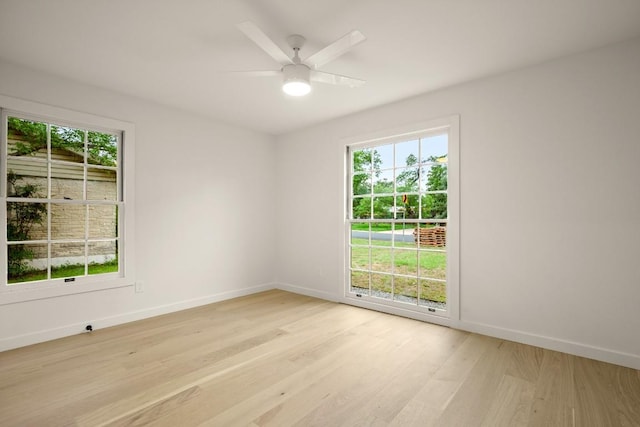 1811 Rogge Ln, Austin, TX 78723 - photo 10
