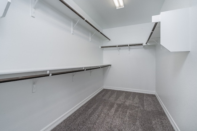 212 Beretta Cir, Georgetown, TX 78628 - spacious closet with dark colored carpet