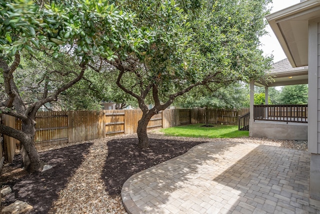 212 Beretta Cir, Georgetown, TX 78628 - view of yard featuring a patio