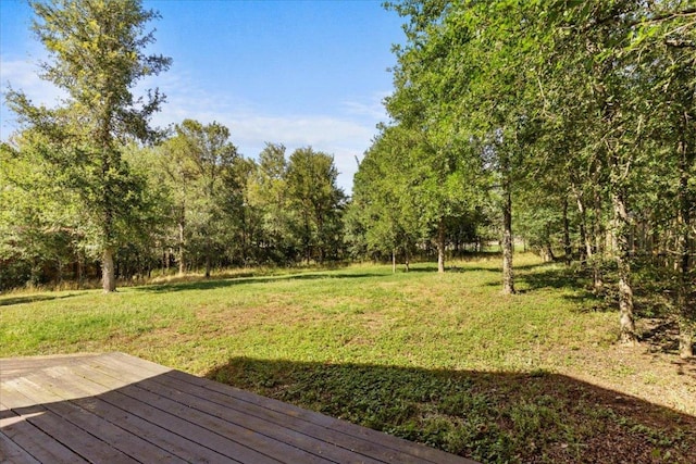 163 Puu Waa Waa Ln, Bastrop, TX 78602 - photo 34