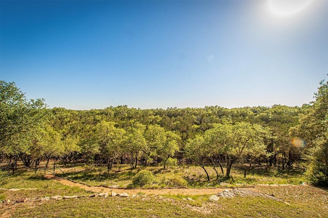 12310 Triple Creek Dr, Dripping Springs, TX 78620 - photo 35