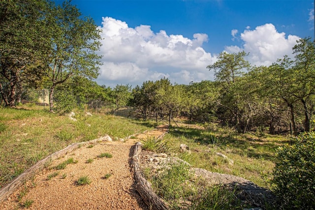12310 Triple Creek Dr, Dripping Springs, TX 78620 - photo 34