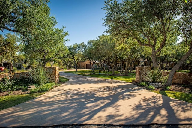 12310 Triple Creek Dr, Dripping Springs, TX 78620 - photo 3
