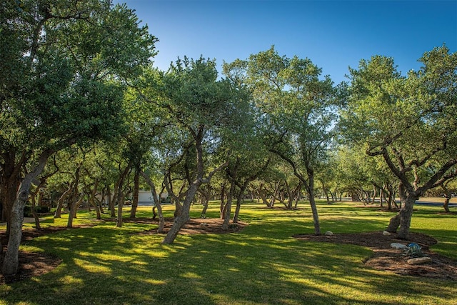 12310 Triple Creek Dr, Dripping Springs, TX 78620 - photo 5